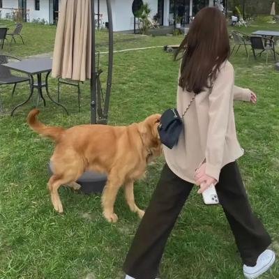 钓鱼狂日记11